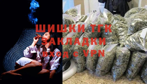 трава Новозыбков