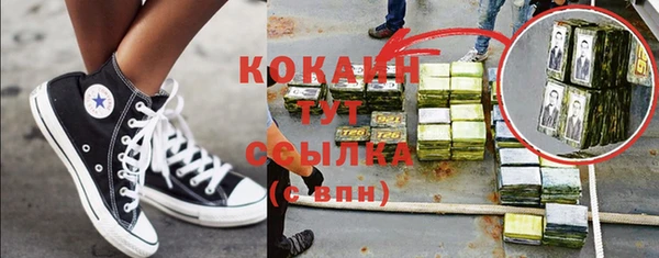 шишки Нефтегорск
