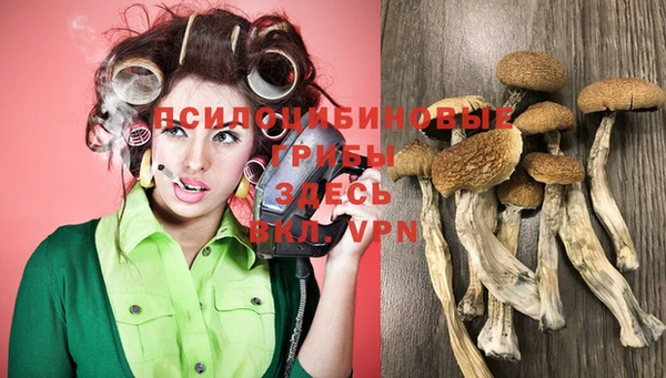 трава Новозыбков
