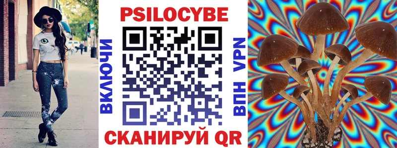 гидра ССЫЛКА  купить наркоту  Мамоново  shop наркотические препараты  Псилоцибиновые грибы мицелий 